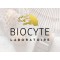 Biocyte Biocyte