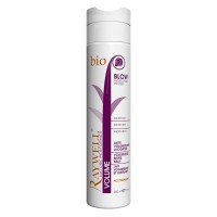Raywell BIO Blow Молочко для Об'єму
