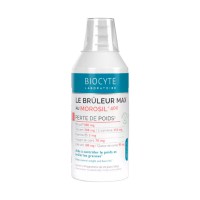 LE BRULEUR MAX AU MOROSIL