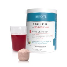 LE BRULEUR AU MOROSIL