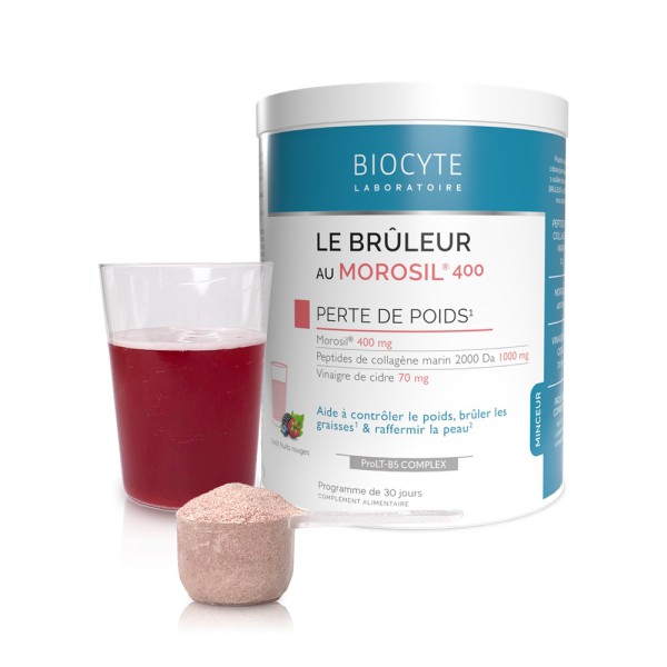 LE BRULEUR AU MOROSIL