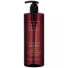 Відновлюючий Шампунь для Дуже Пошкодженного Волосся Curly Shyll  After Salon Care Shampoo