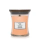 Ароматическая Cвеча с Нежными Нотами Woodwick Large Trilogy Blooming Orchard