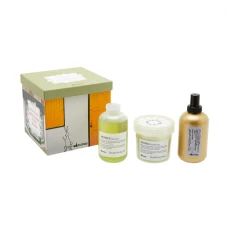 Подарунковий набір Davines Momo Kit 2023